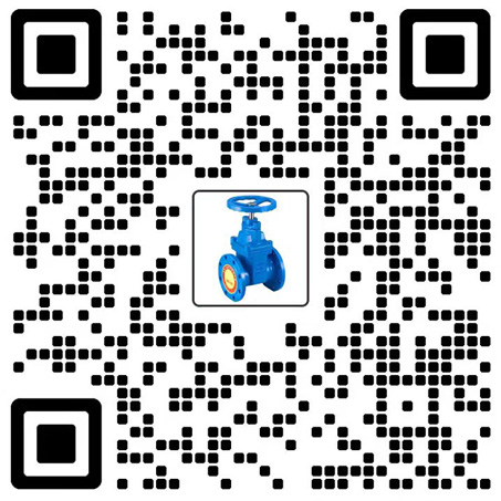 大型水系统阀门制造商-TVI塘沽一阀-上海汉克斯阀门制造有限公司